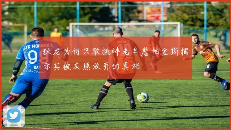 狄龙为何只敢挑衅老年詹帕金斯揭示其被灰熊放弃的真相