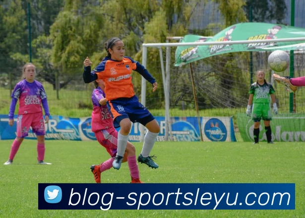 乐鱼体育品牌故事