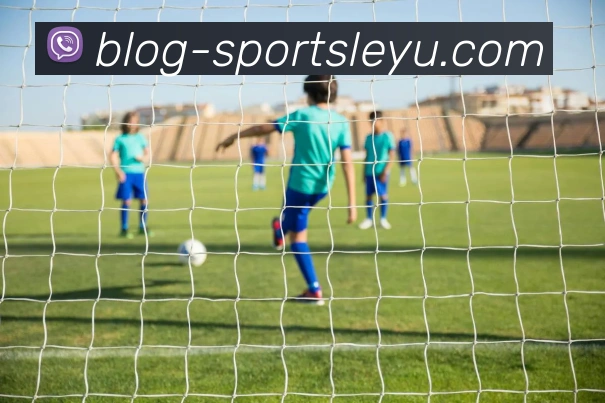 乐鱼体育服务体系